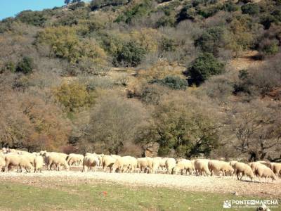 Sierras Subbéticas;Priego de Córdoba;senderismo por libre power walking madrid senderismo románti